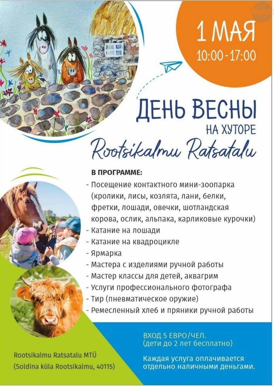 Прекрасный день на хуторе: Празднование Дня весны в Rootsikalmu Ratsatalu - Narva News