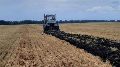 Центральная Эстония столкнулась с кризисом: влажность почвы спровоцировала масштабный неурожай рапса, ущерб исчисляется сотнями тысяч евро. - Город Нарва